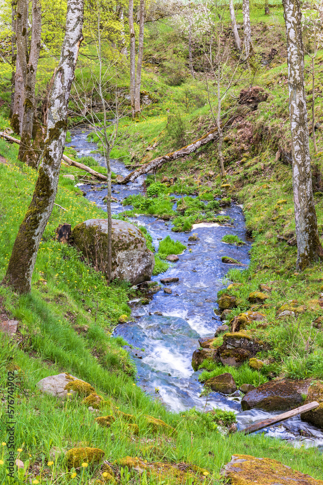 Meandering stream in a ravine at springtime Meandering stream in a ravine at springtime