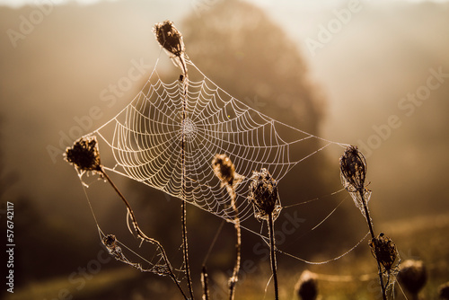 autumn sun exits offer a magnificent spectacle
