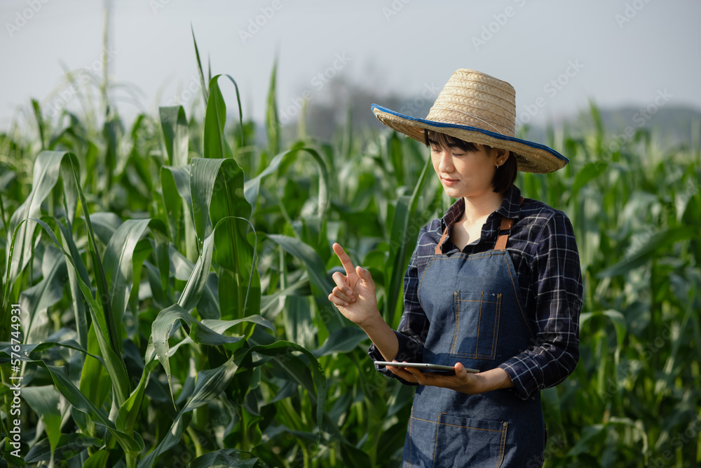 Asian woman farmer using digital tablet in vegetable garden at greenhouse, Business agriculture technology concept, quality smart farmer.