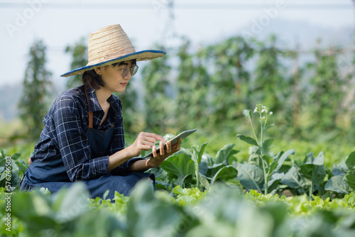 Asian woman farmer using digital tablet in vegetable garden at greenhouse, Business agriculture technology concept, quality smart farmer.