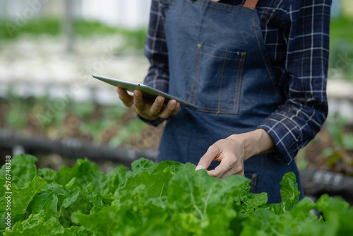 Asian woman farmer using digital tablet in vegetable garden at greenhouse, Business agriculture technology concept, quality smart farmer.