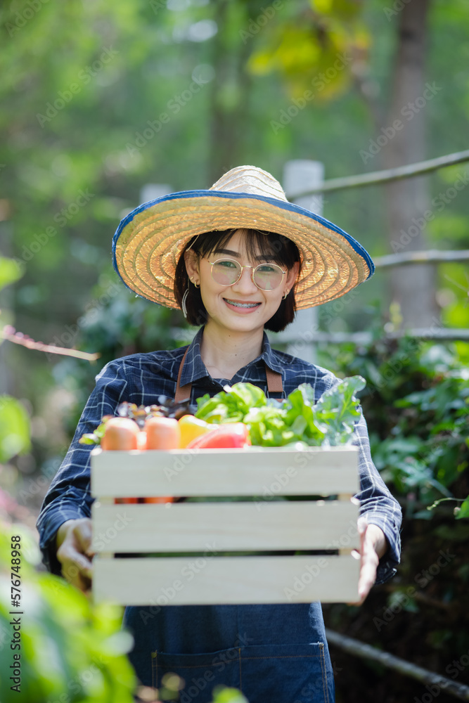 Organic farmer in a vegetable field holding a wooden box of beautiful freshly picked vegetables, Organic vegetables and healthy lifestyle concept.