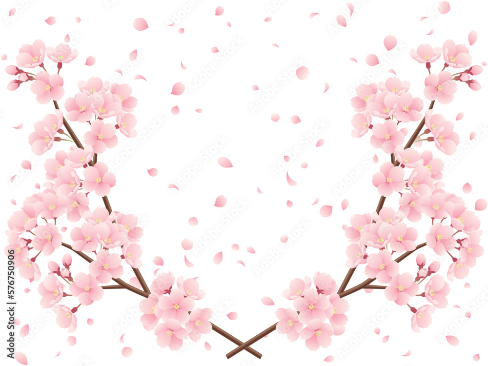 交差した桜の枝と桜吹雪のイラスト