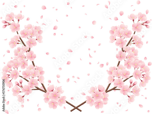 交差した桜の枝と桜吹雪のイラスト