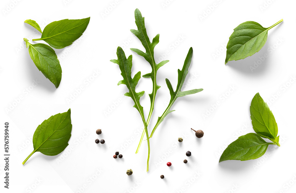 Fresh arugula and basil organic leaves isolated on white background. Transparent background and natural transparent shadow; Ingredient, spice for cooking. collection for design Fresh arugula and basil organic leaves isolated on white background. Transparent background and natural transparent shadow; Ingredient, spice for cooking. collection for design