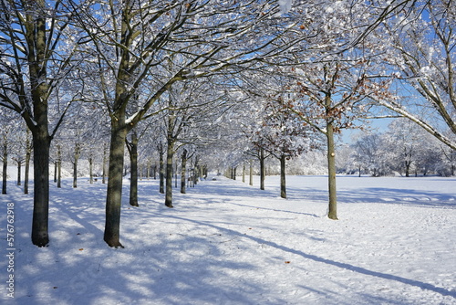 Eine winterliche Allee in einem Park in Brandenburg