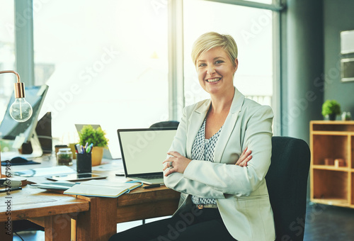 Its taken time but Ive finally mastered the corporate world. Portrait of a young businesswoman working in an office.