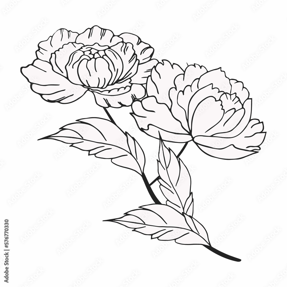 Obraz premium Luxurious peony flower, decorated composition. Hand drawing. For cards, flyers, backgrounds, prints, invitations and your design