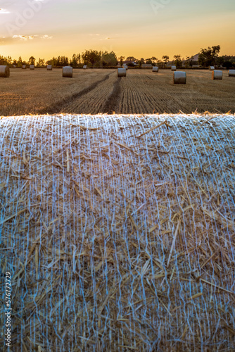 Landscape with field and straw bales at sunset.