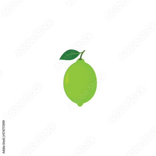 Lime. Lime with leaf. Vector illustration isolated on white background. For template label, packing, web, menu, logo, textile, icon