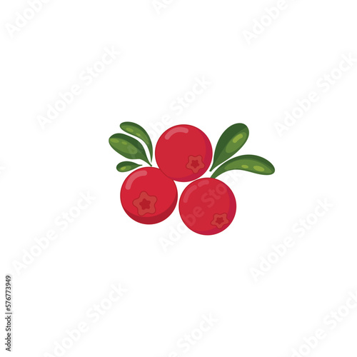 Cranberry. Cranberry with leaves, red wild berries. Vector illustration isolated on white background. For template label, packing, web, menu, logo, textile, icon
