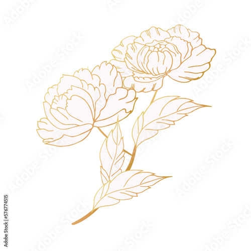 Luxurious peony flower, decorated composition. Hand drawing. For cards, backgrounds, prints, invitations and your design