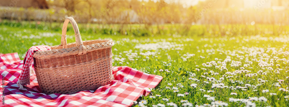 Checkered picnic duvet with empty basket on the blossoming meadow. - obrazy, fototapety, plakaty 
