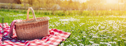 Checkered picnic duvet with empty basket on the blossoming meadow.