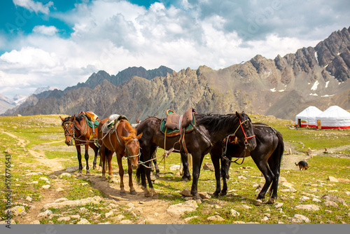 Harnessed horses stand in the mountains  waiting for tourists for a horseback ride. Hiking horseback riding in nature.