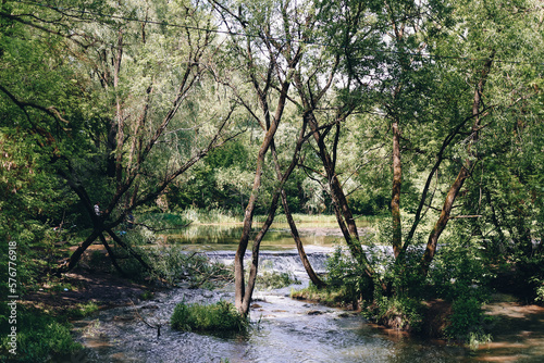 beautiful landscape with a small waterfall in a forest with stone terrain