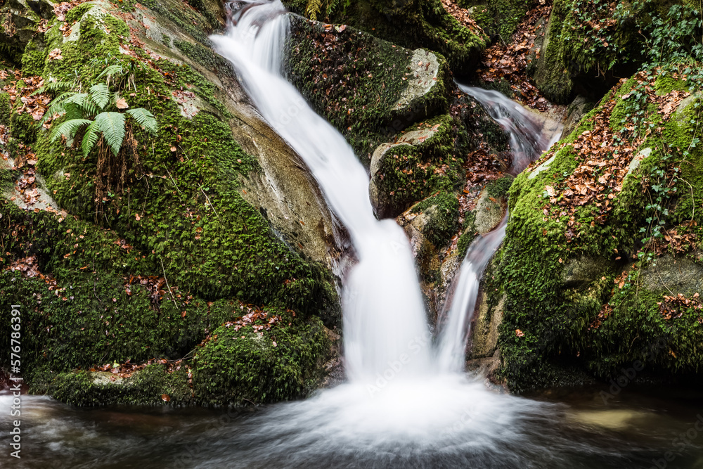 Obraz premium River in the Serre Regional Park, Italy