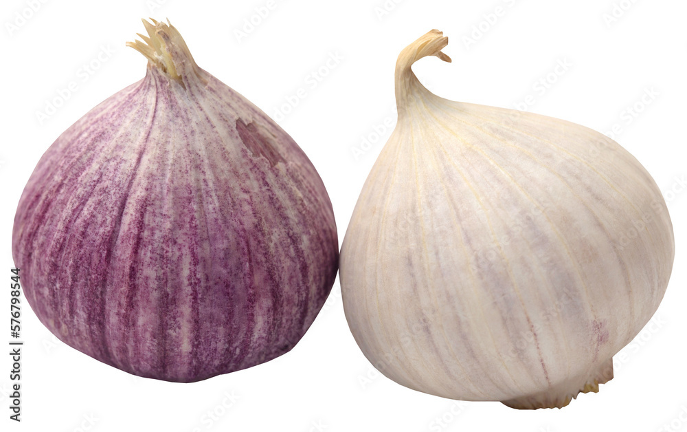 Obraz premium Solo or single clove garlic