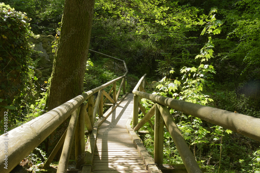 Trekking on the Gaishell waterfall trail, in the village Sasbachwalden, inside the black forest, Germany Trekking on the Gaishell waterfall trail, in the village Sasbachwalden, inside the black forest, Germany