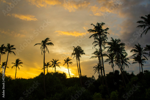 Beautiful silhouettes of tropical palm trees at sunset in Asia