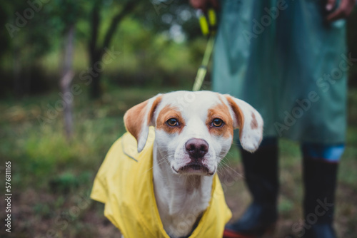 Owner and his dog enjoying while walking outdoors on a rainy day