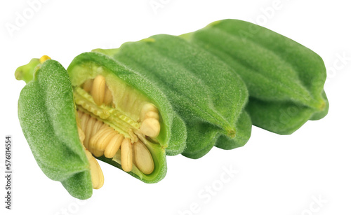 Green sesame pods