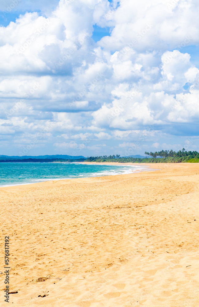 Beautiful tropical landscape. Sandy ocean shore. Beautiful texture background for tourism, design and advertising