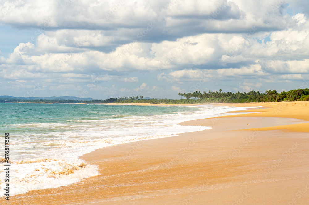 Beautiful tropical landscape. Sandy ocean shore. Beautiful texture background for tourism, design and advertising Beautiful tropical landscape. Sandy ocean shore. Beautiful texture background for tourism, design and advertising