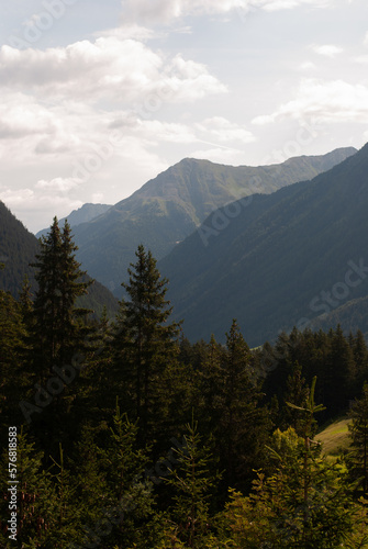 Fototapeta Naklejka Na Ścianę i Meble -  View on fir trees in mountains