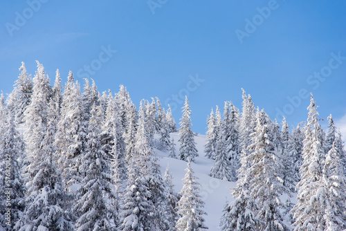 Snow covered trees in the mountains. Picturesque winter scene. Magic winter forest. Natural landscape with beautiful sky. Happy New Year! 