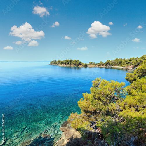 Fototapeta Naklejka Na Ścianę i Meble -  Morning summer Aegean Sea with pine trees on shore and small beaches, Sithonia (near Ag. Kiriaki), Halkidiki, Greece.