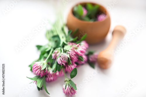 Red clover on a white background near a wooden mortar with a pestle. Manufacture of alternative medicine and geomeopathic medicines