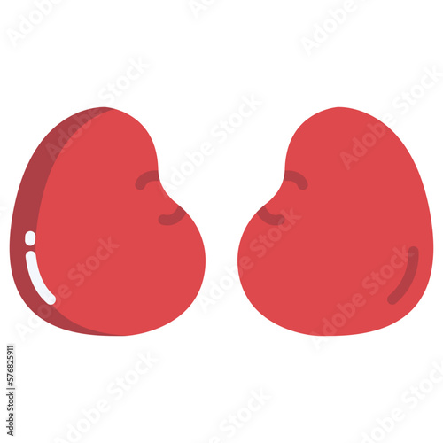 Chicken kidney icon