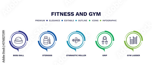 set of fitness and gym thin line icons. fitness and gym outline icons with infographic template. linear icons such as bosu ball, steroids, gymnastic roller, grip, gym ladder vector.