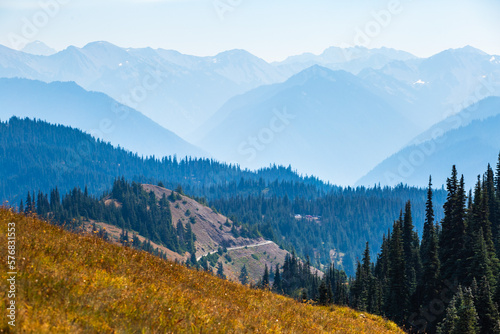 Smoky Layers in late autumn in Olympic National Park