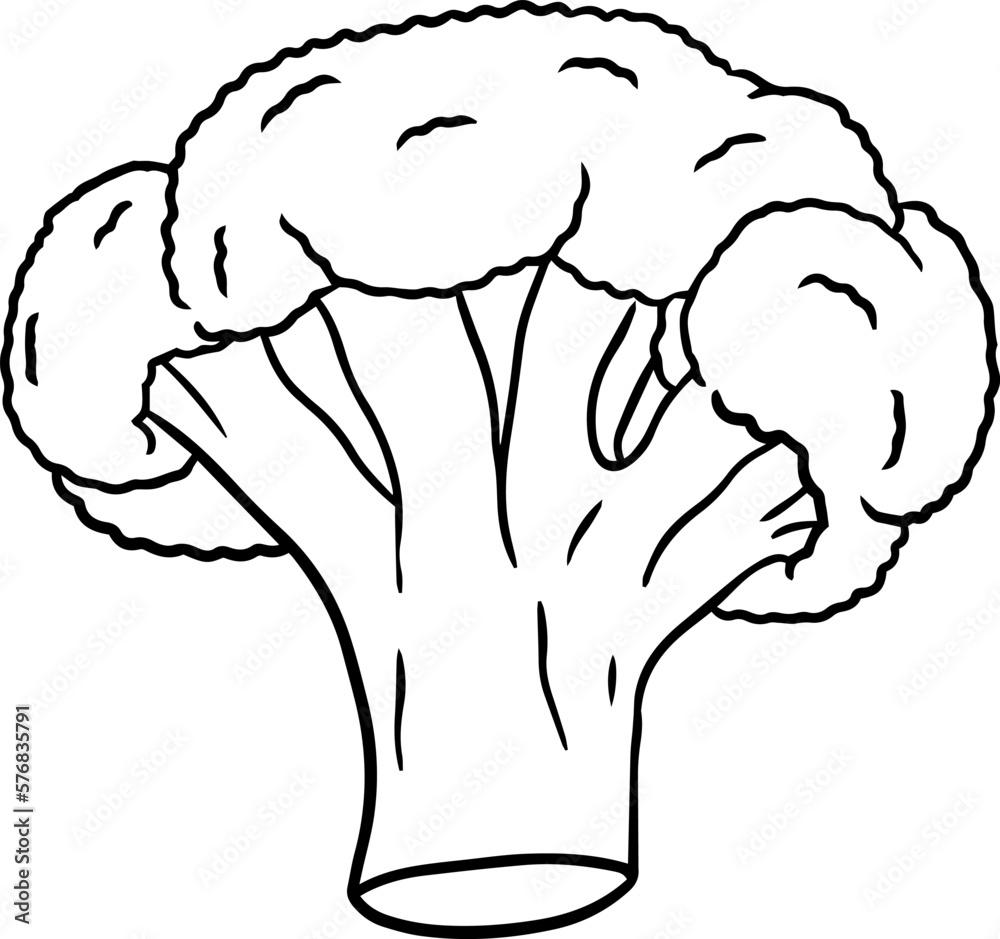 Illustration of a broccoli in a hand-drawn style. Illustration of a broccoli in a hand-drawn style.
