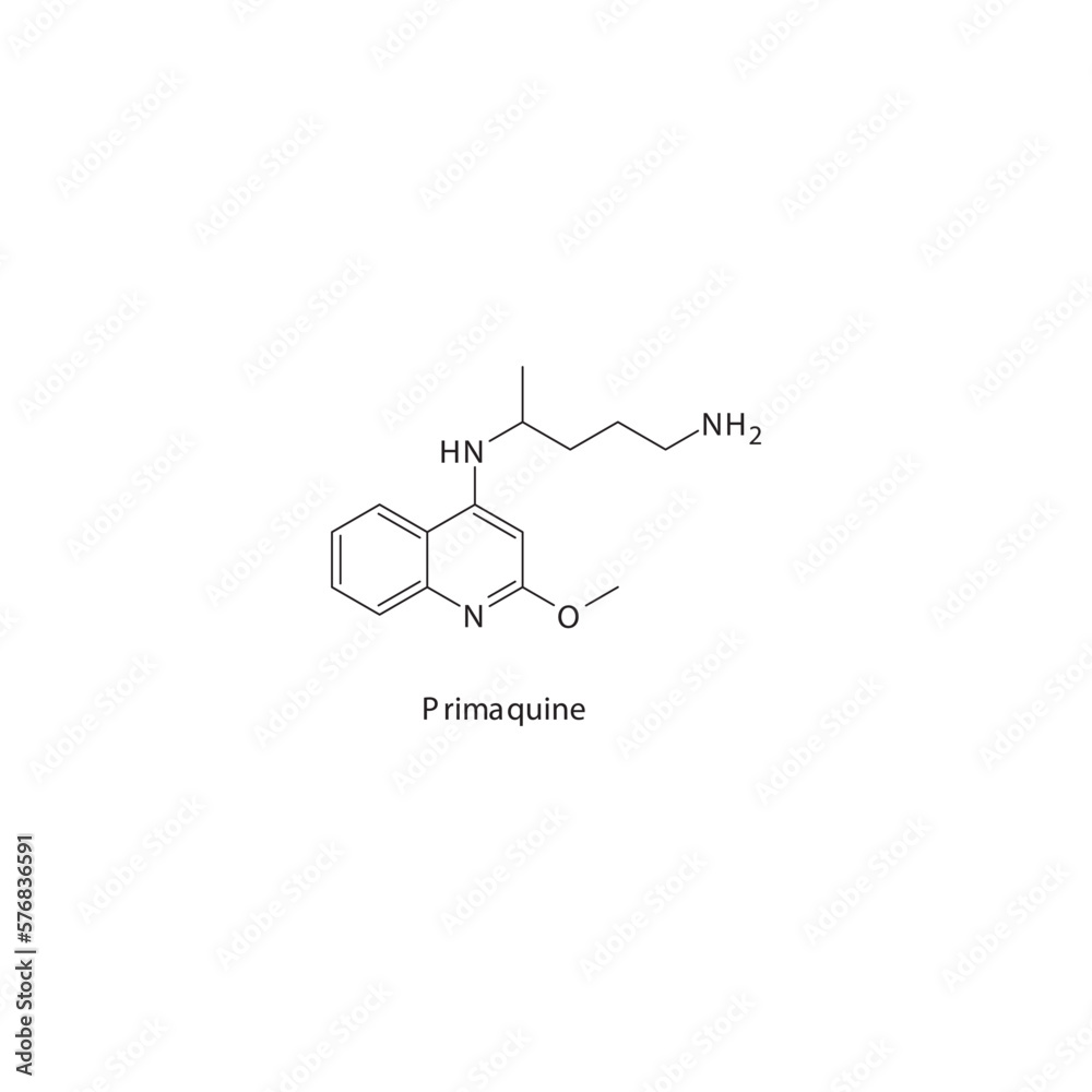 Primaquine flat skeletal molecular structure Antiparasitic drug used in malaria treatment. Vector illustration. Primaquine flat skeletal molecular structure Antiparasitic drug used in malaria treatment. Vector illustration.