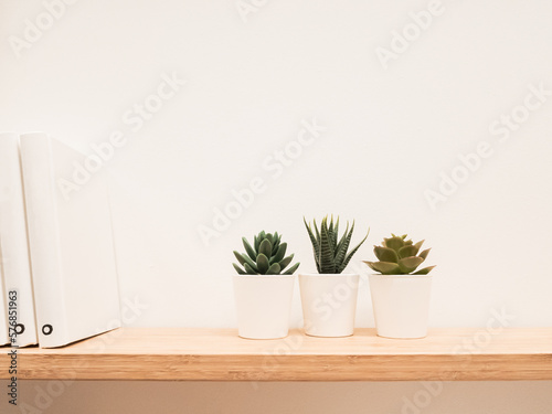 Wood shelf with books and pot flowers, decor frame concept style
