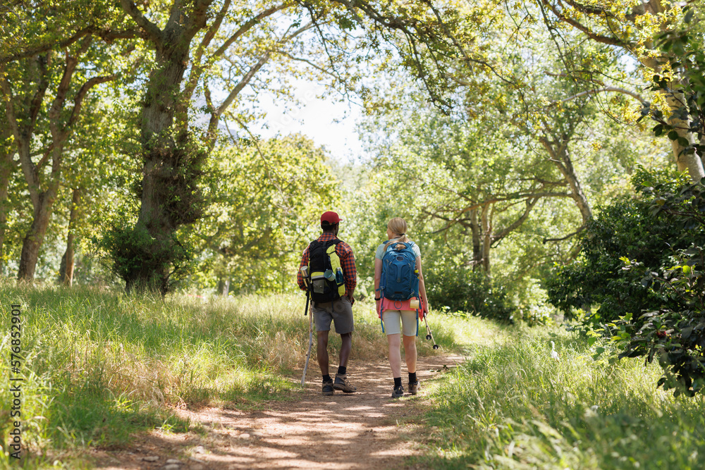Rear view of diverse couple with backpacks and walking poles walking in sunny forest, copy space Rear view of diverse couple with backpacks and walking poles walking in sunny forest, copy space
