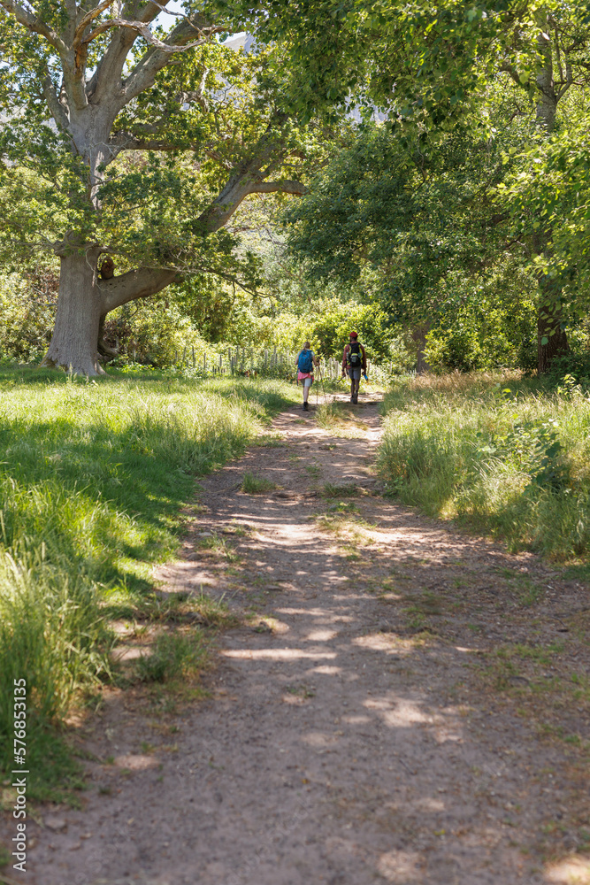 Vertical rear view of diverse couple with backpacks trekking on path in sunny forest, copy space Vertical rear view of diverse couple with backpacks trekking on path in sunny forest, copy space