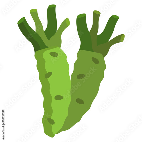 Wasabi icon
