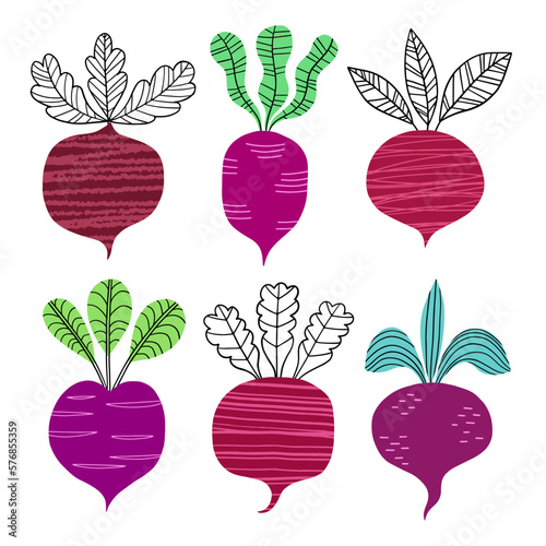 Beet with leaf set. Beet Root vegetables hand drawn illustration