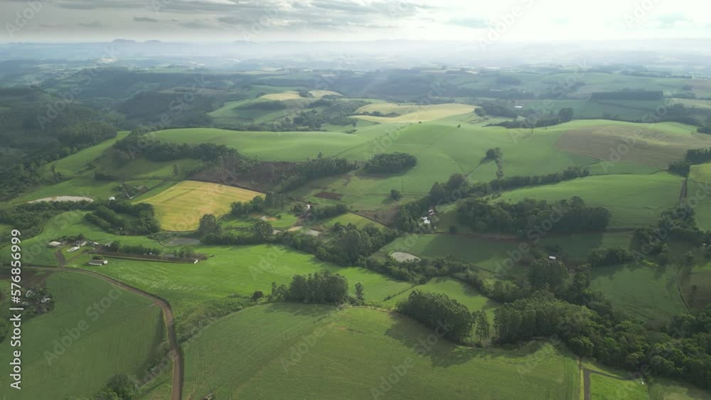 Flying over beautiful green fields and trees at amazing light. Aerial view. Wheat field. Corn field. Flying over beautiful green fields and trees at amazing light. Aerial view. Wheat field. Corn field.