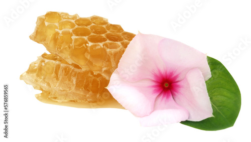 Honey comb with medicinal Nayantara photo