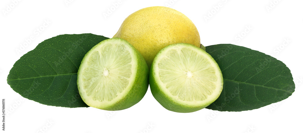 Sliced fresh lemon