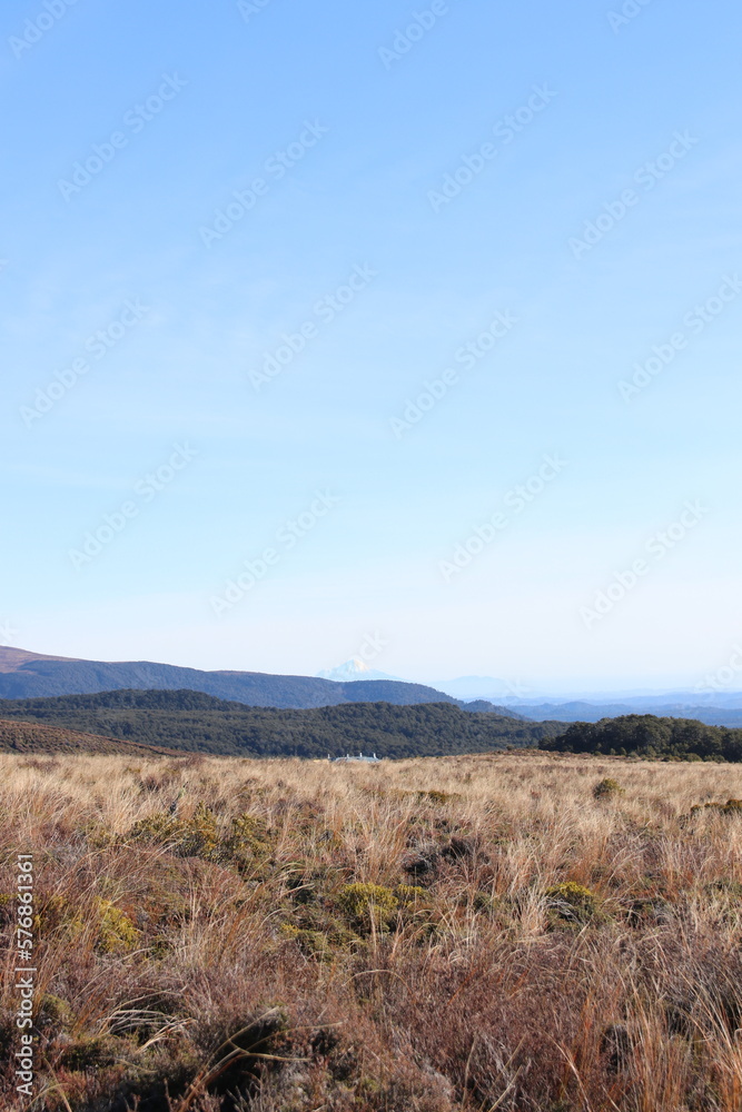 Fototapeta premium Landscape of tussock mountainous land
