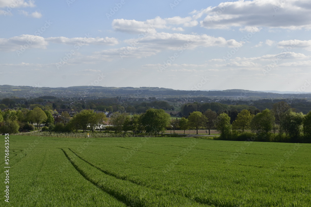 Fototapeta premium Ausblick in Bergkirchen bei Minden