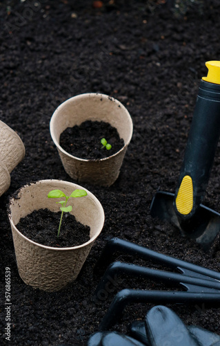 gardening tools and pots with green sprouts on soil texture background