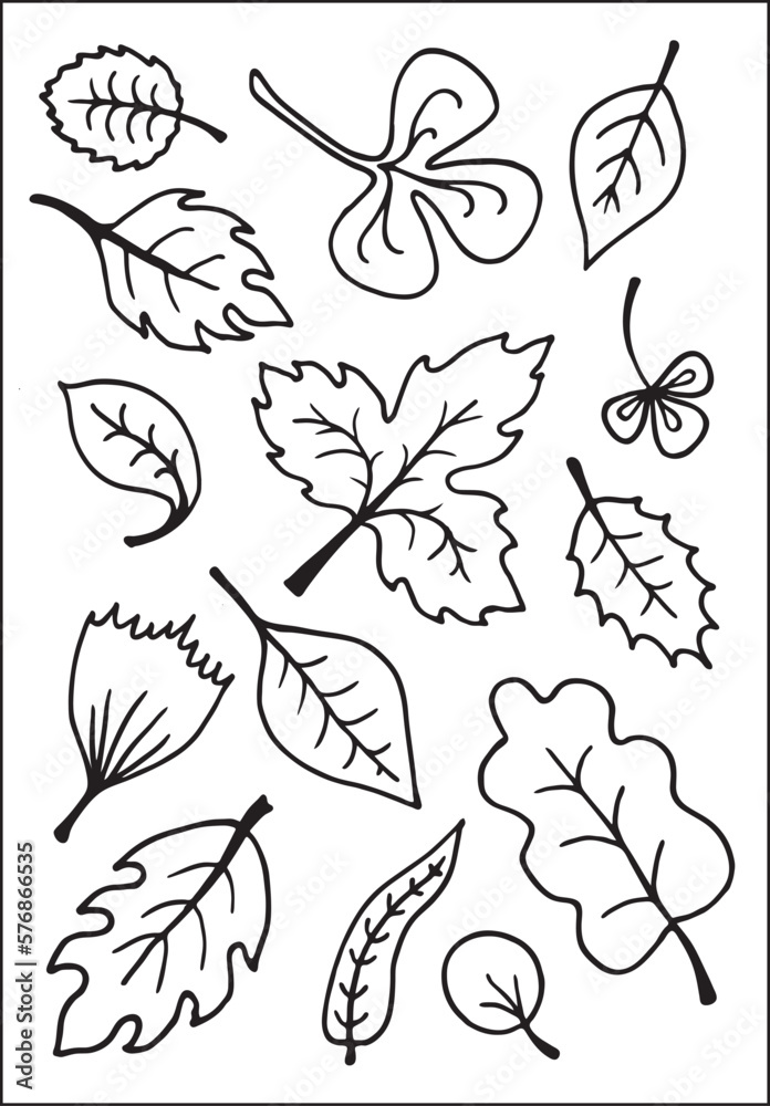 Set of vector vegetal decorative leaves, contours of leaves in black ...