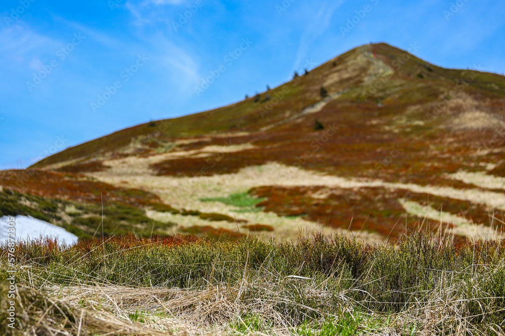 panorama of colorful bieszczady mountains in poland, europe during spring